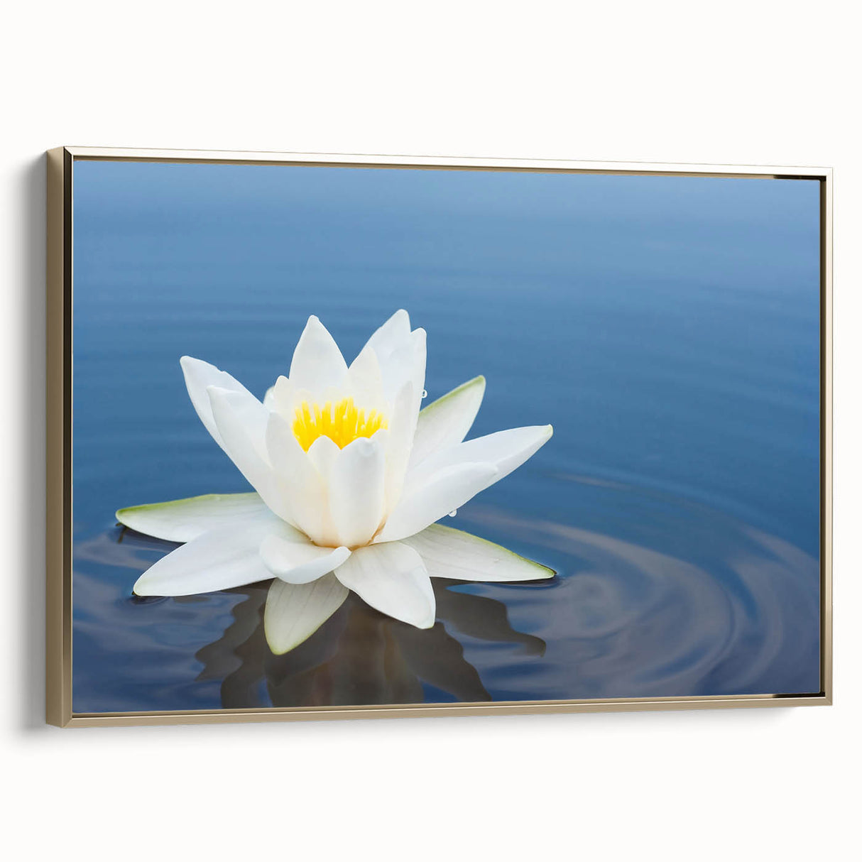 Vibrant rolled canvas showcasing a detailed African tribal wall art design, featuring rich colors and intricate patterns, packaged securely in a protective cardboard tube.