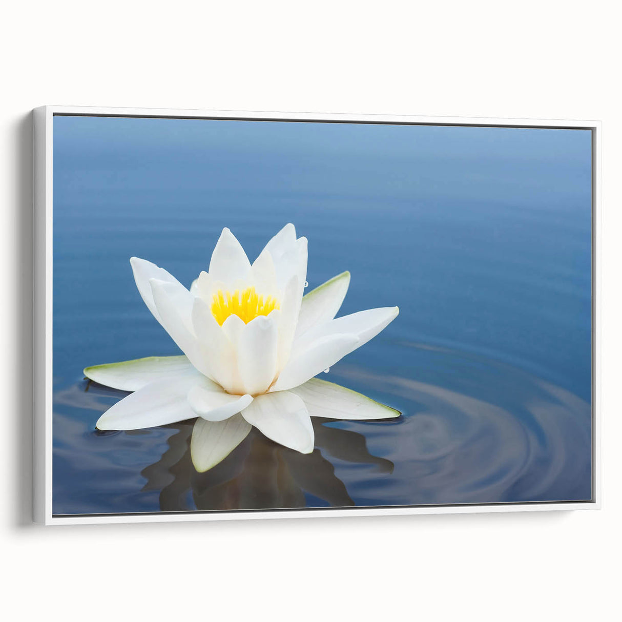 Vibrant botanical illustration of assorted colorful flowers, showcasing intricate details and natural patterns, perfect for home decor or nature-themed projects.