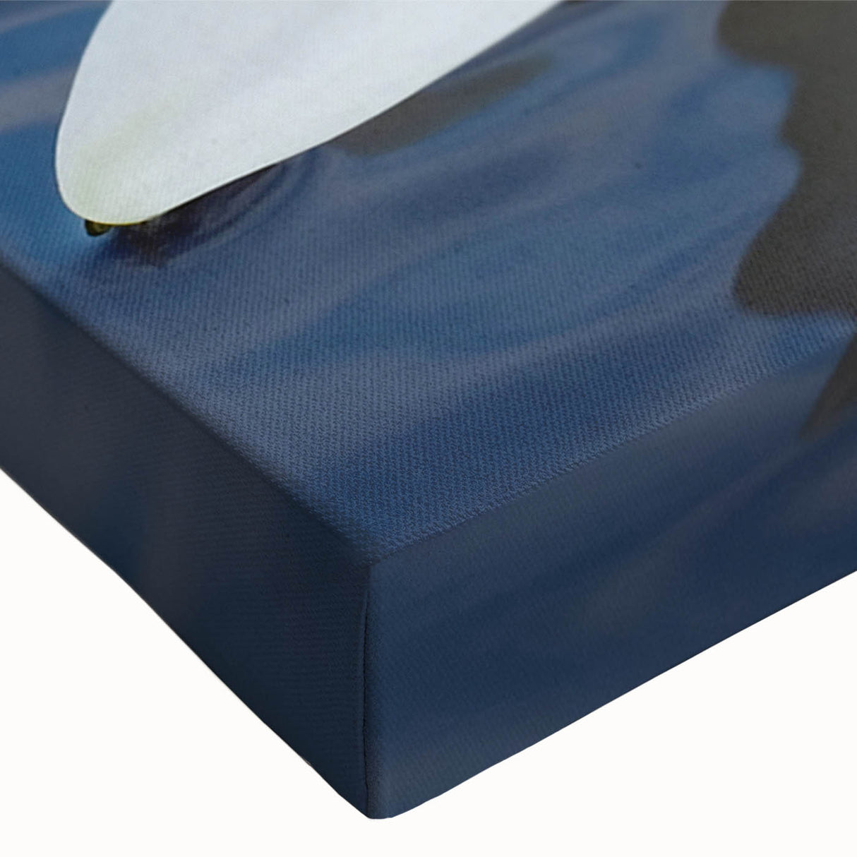 Brightly colored flower arrangement featuring vibrant pink and yellow petals, set against a soft green background, perfect for home decor or floral design inspiration.