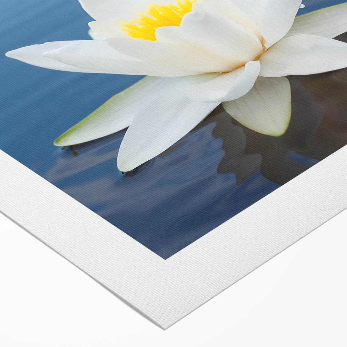 Vibrant floral canvas print showcasing a colorful bouquet of exotic flowers against a soft cream background, ideal for adding a lively touch to home decor.