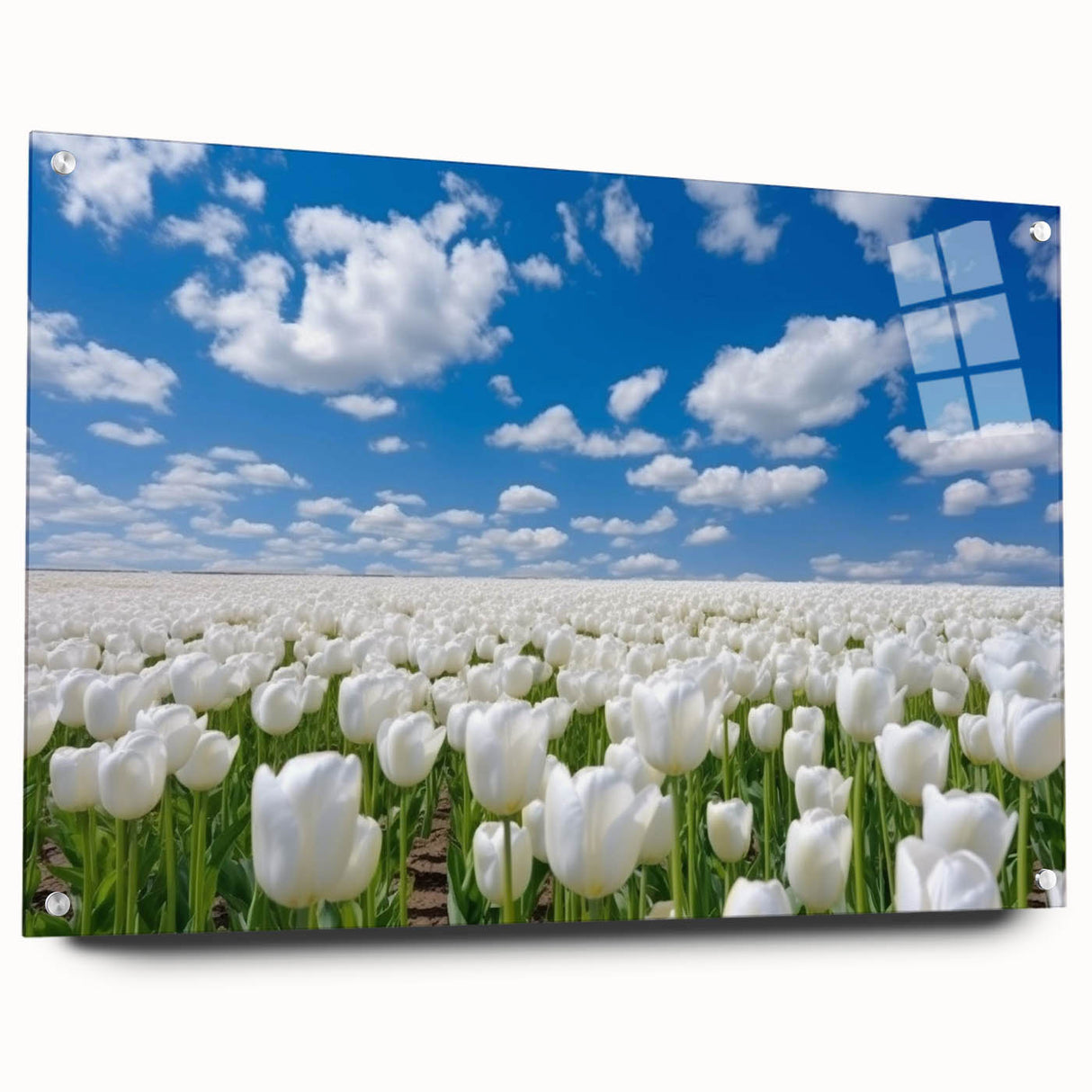 Brightly colored floral canvas artwork featuring intricate designs of vibrant flowers on a textured background, ideal for home decor enhancement or art collection.