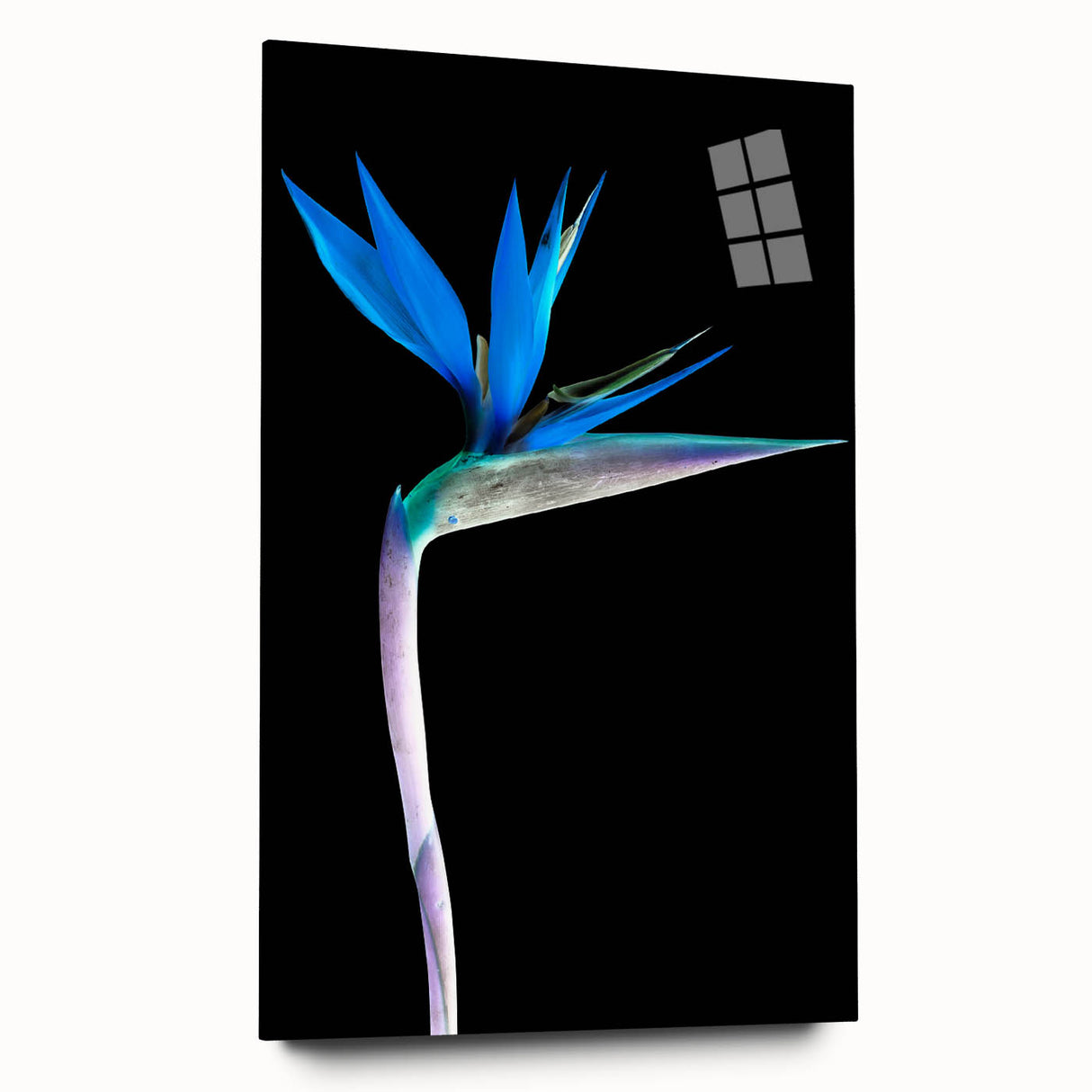 Vibrant floral artwork displayed on a stretched canvas, showcasing intricate details and vivid colors, ideal for home décor or art enthusiasts seeking a nature-inspired touch.