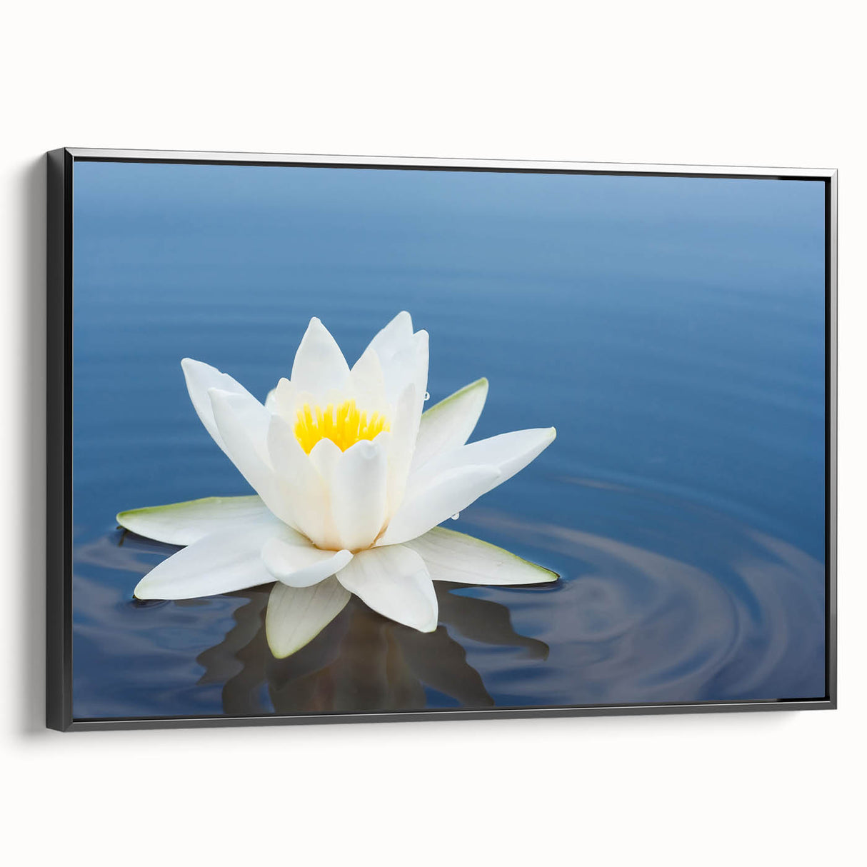 Vibrant rolled canvas artwork showcasing a detailed floral design in rich colors, carefully packaged in a protective cardboard tube for safe delivery.