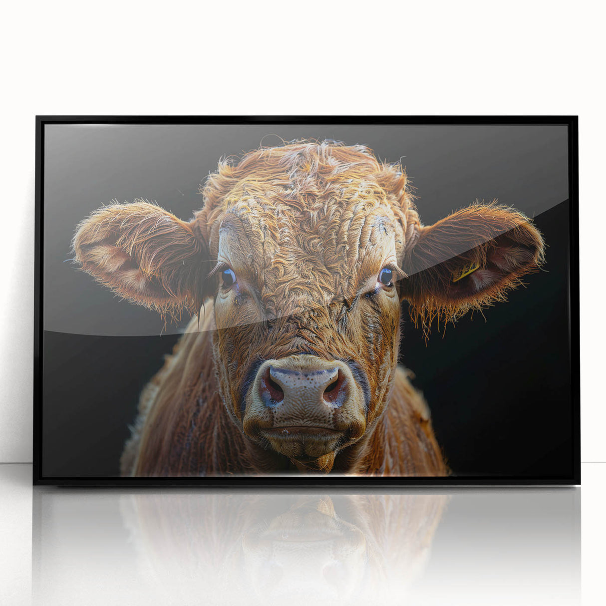 Framed acrylic wall art featuring a striking black and white cow design, perfect for animal lovers and modern decor enthusiasts, showcased in a sleek black frame.