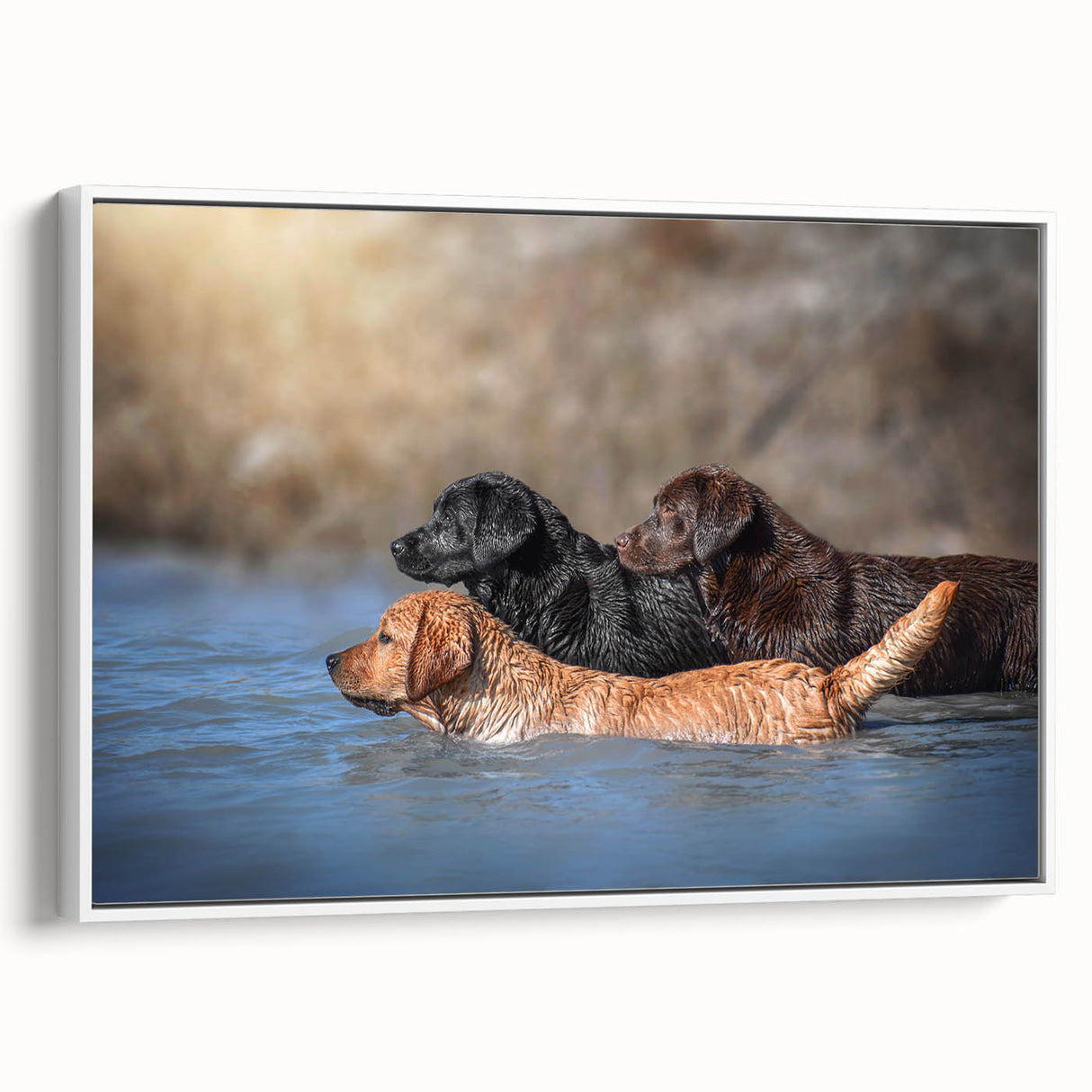 Framed canvas wall art featuring a playful dog design, showcasing vibrant colors and intricate details, displayed against a white background, perfect for animal lovers.