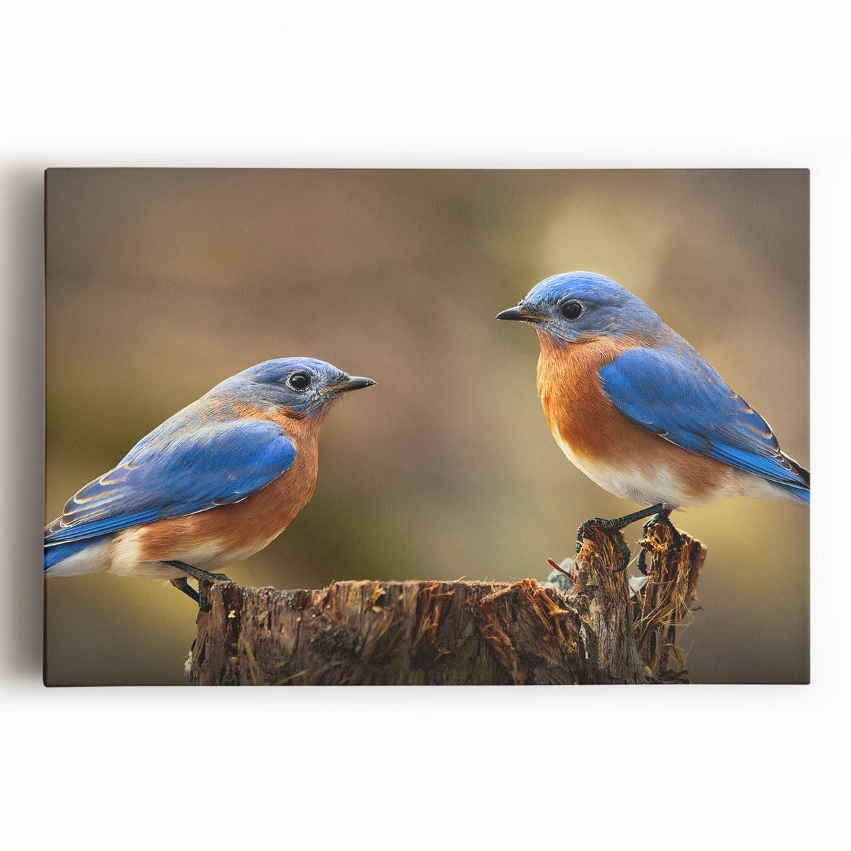 Colorful stretched canvas wall art depicting a serene garden scene with various birds perched among lush greenery, ideal for home decor and nature lovers.