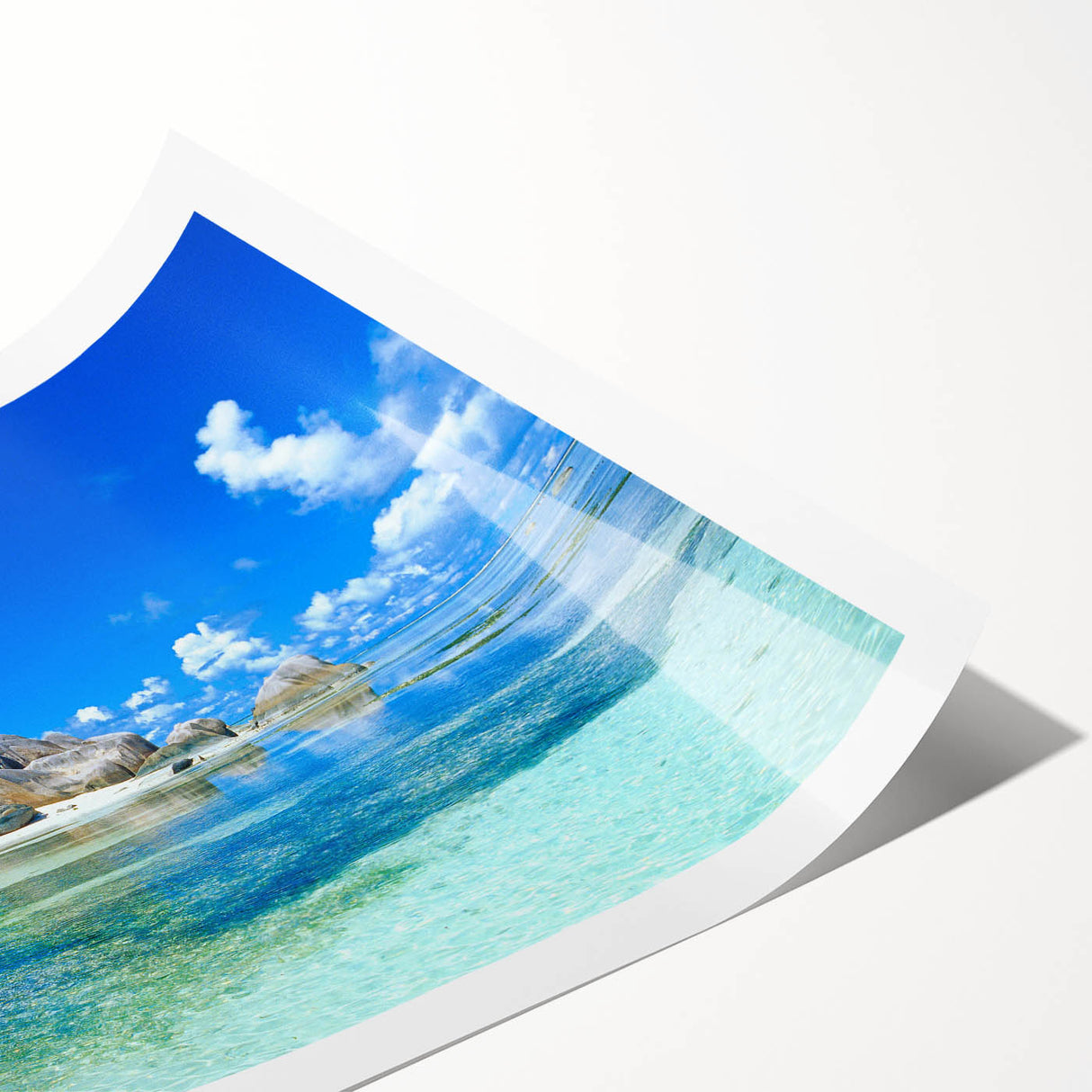 Extra large rolled print featuring line art flowers and vibrant floral art, ideal for large living room wall decor.