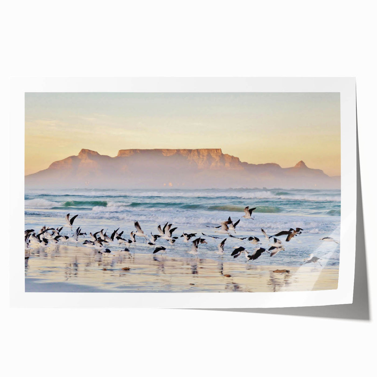 Extra large rolled print of a South African landscape featuring vibrant greenery and floral elements.