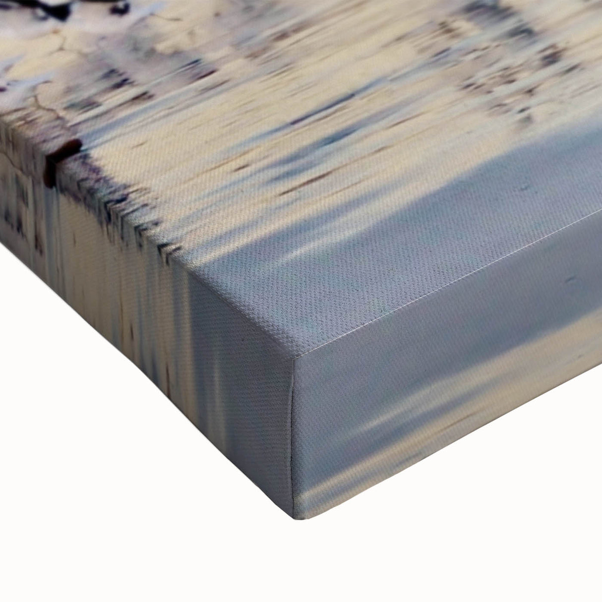 Large art featuring a black and white landscape painting of the South African scenery on stretched canvas.