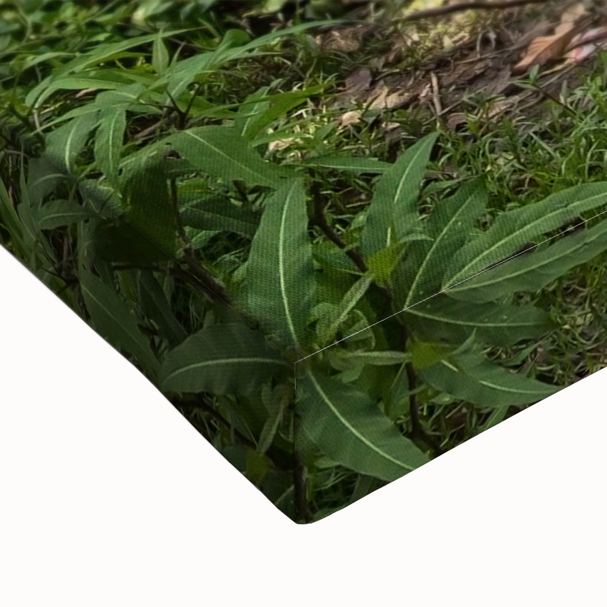 Black and white landscape art painting of a serene Bangladesh scenery on stretched canvas, ideal for bedroom wall art.