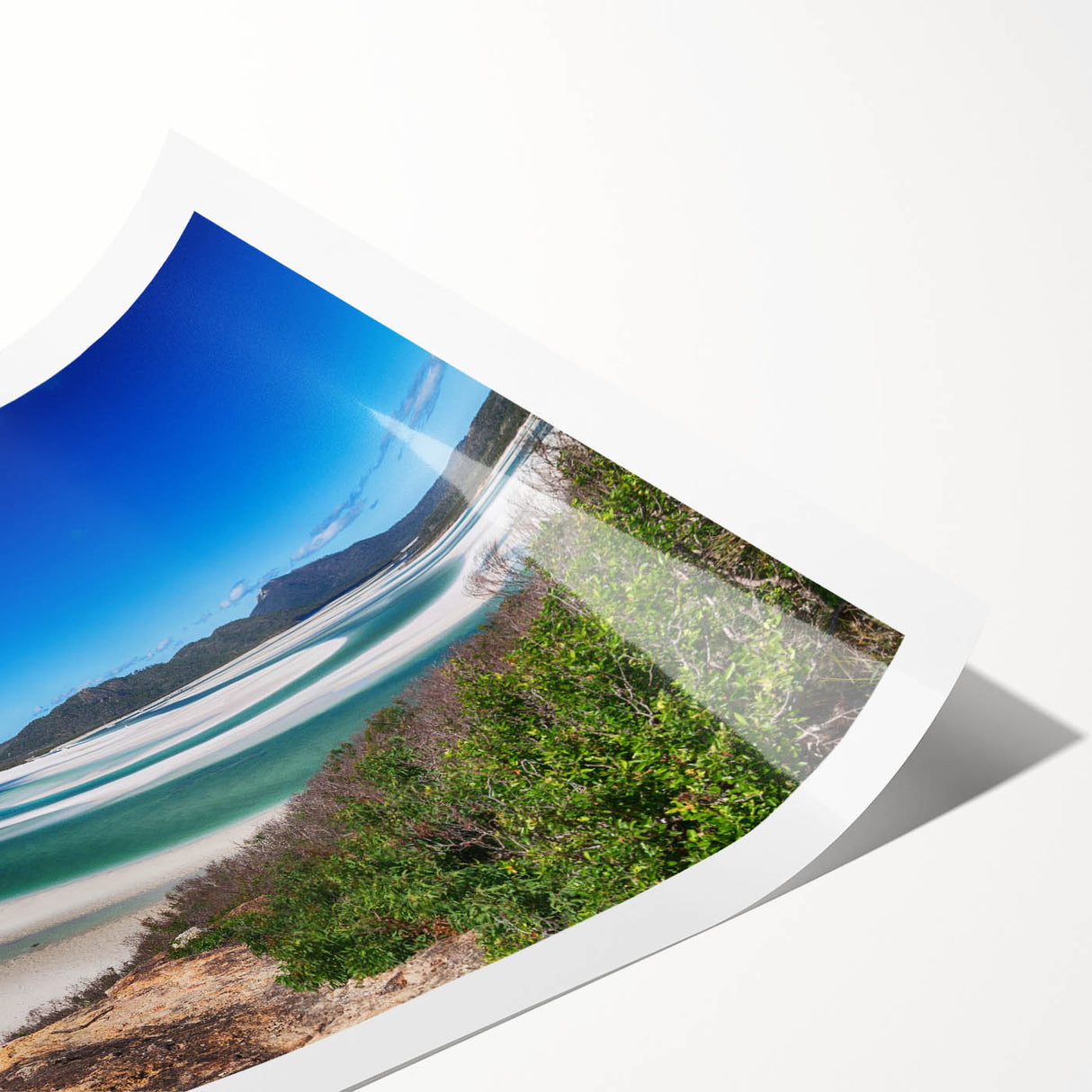 Extra large wall art of line art flowers in black and white, ideal for large living room decor, printed on rolled canvas.