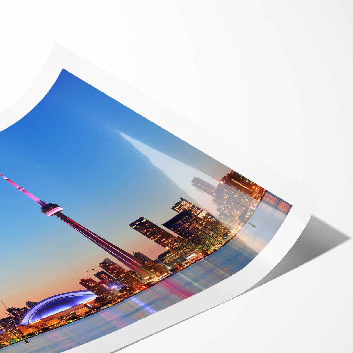 Extra large wall art featuring line art flowers in black on a white background, ideal for large living room decor.