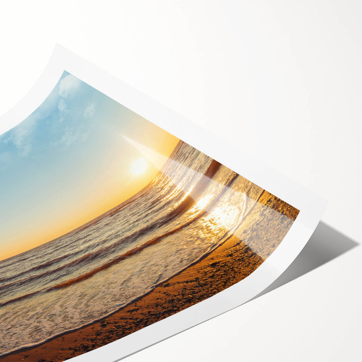 Extra large wall art featuring line art flowers in muted earth tones on a rolled print, ideal for large living room decor.