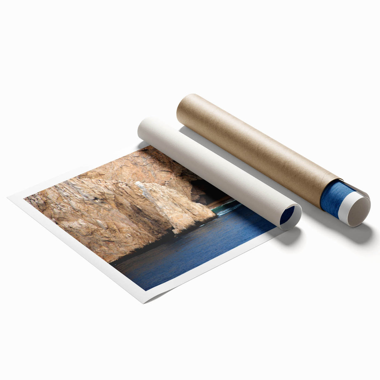 Rolled print of Baja California scenery with a floral motif in muted earth tones.