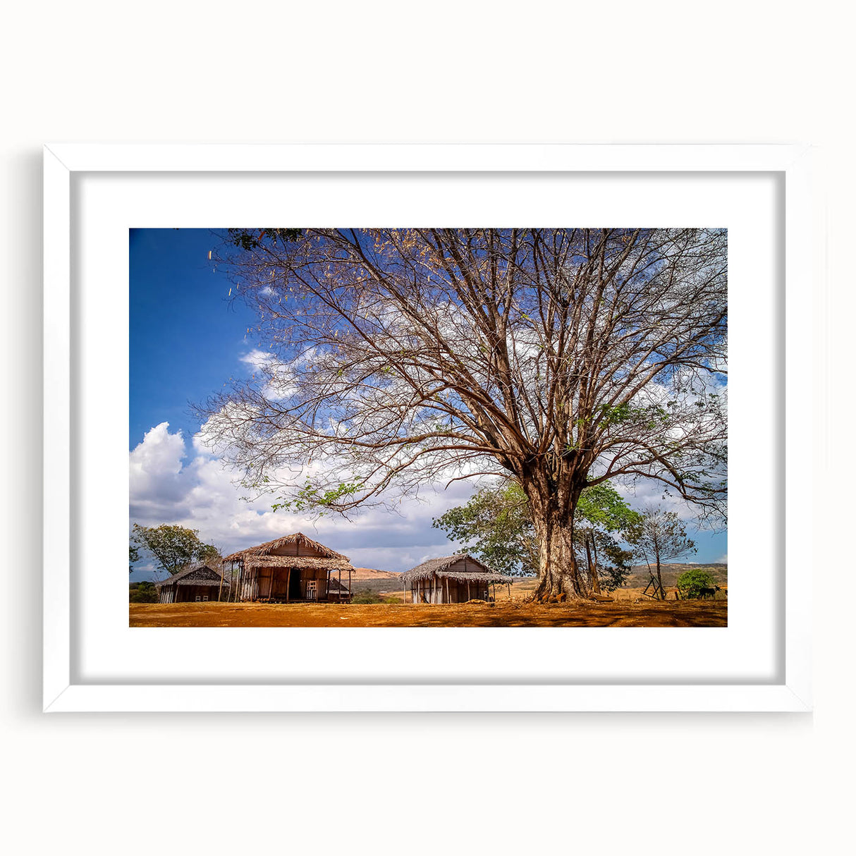 Extra large abstract art print of Madagascar scenery in textured style, with muted earth tones on a white framed canvas.