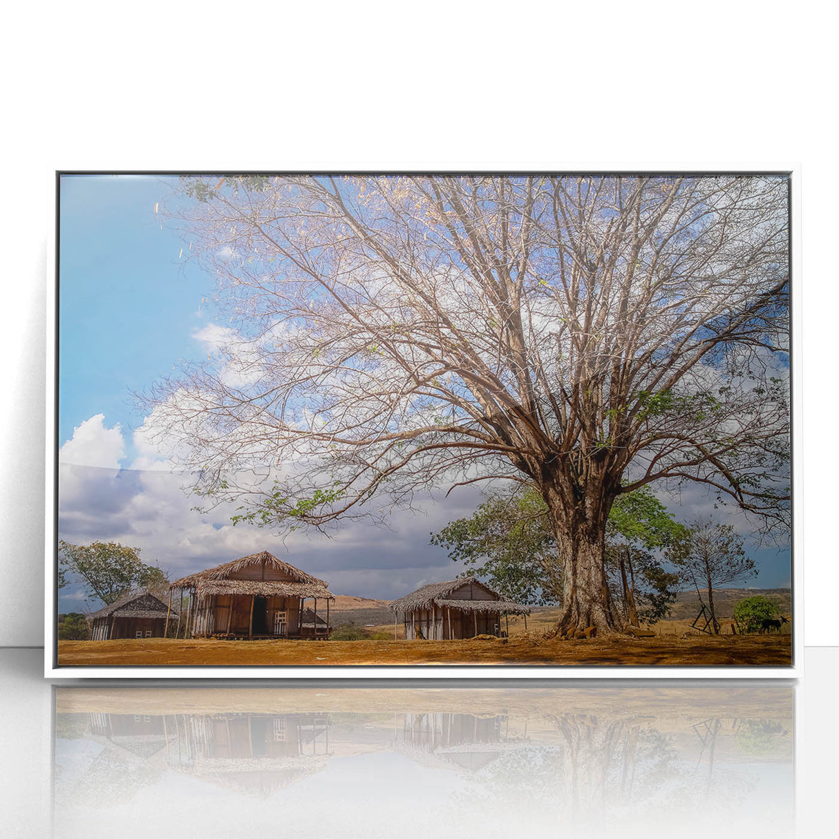 Framed acrylic print depicting a Madagascar scenery in mid-century modernist style, using muted earth tones.