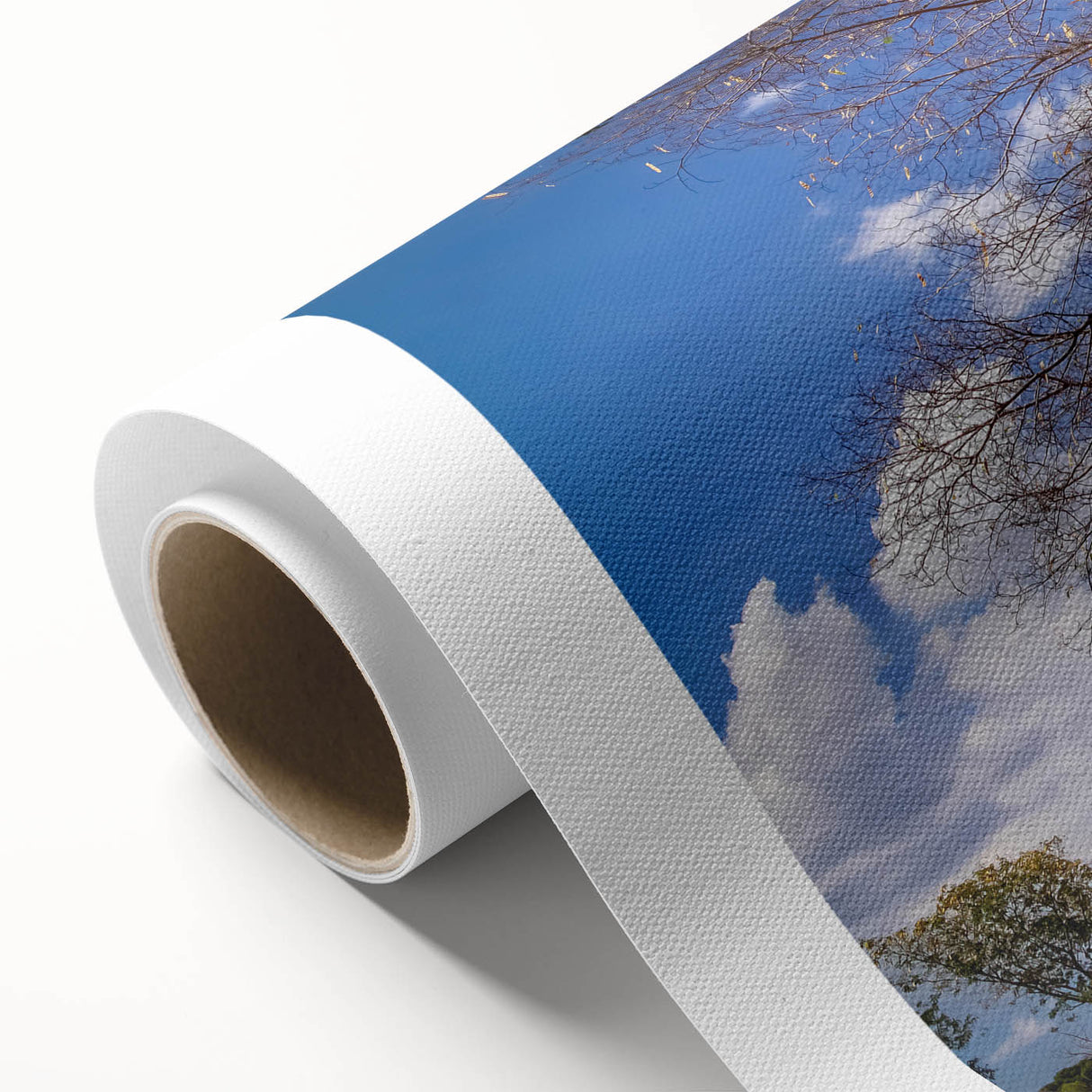 Art Deco style poster of Madagascar scenery on rolled canvas, in muted earth tones, ideal for nursery wall art.