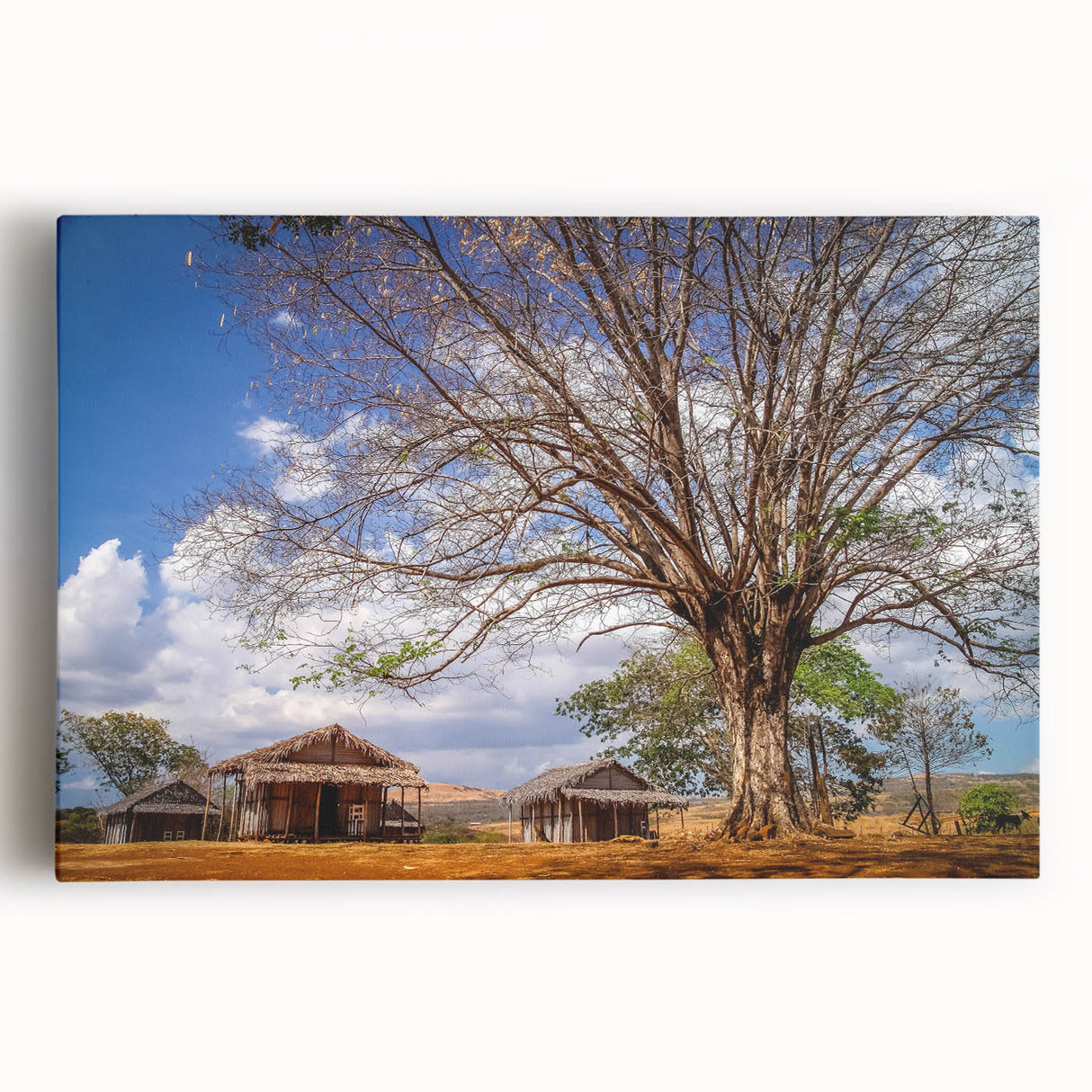 Black and white stretched canvas featuring a Madagascar landscape, ideal for kitchen wall art.