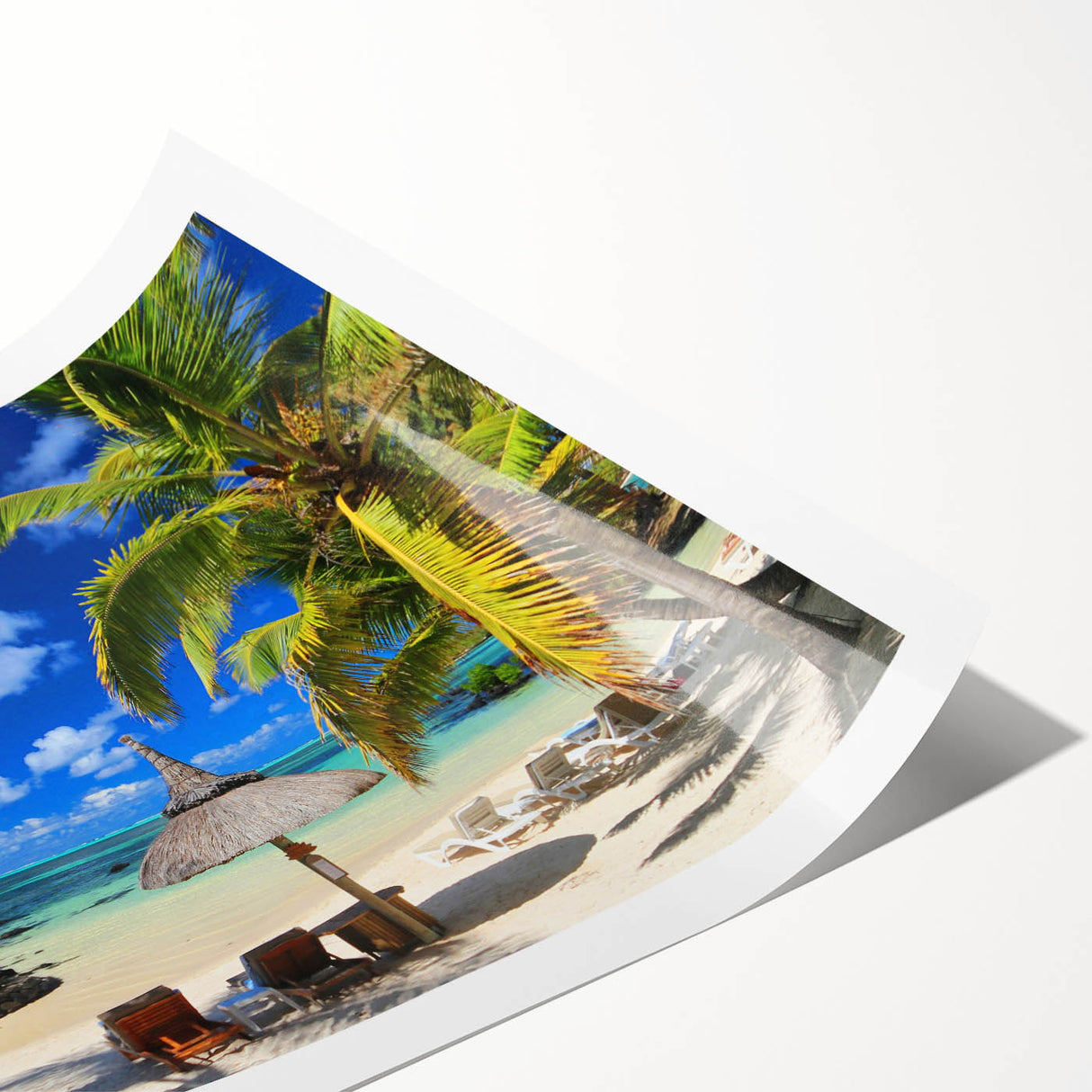 Extra large wall art featuring line art flowers in soft pastel shades on a rolled canvas, ideal for large living room decor.