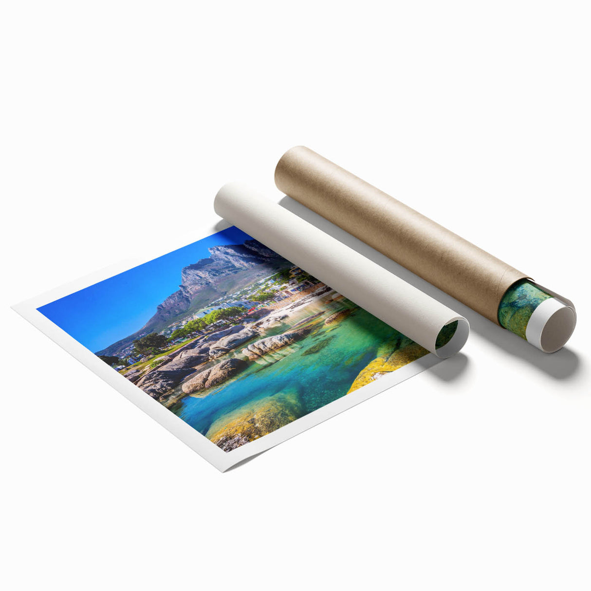 Extra large rolled print of a South African scenery with vibrant floral elements, ideal for classy bathroom wall art.