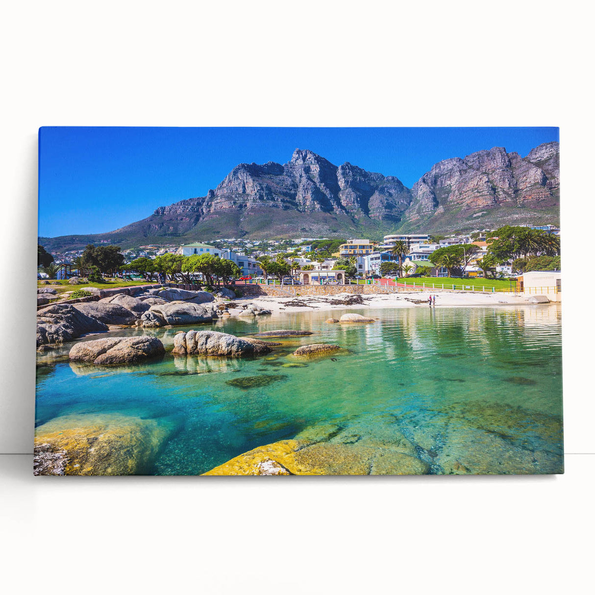 Large black and white photograph of an African savannah on stretched canvas, ideal for kitchen wall art.