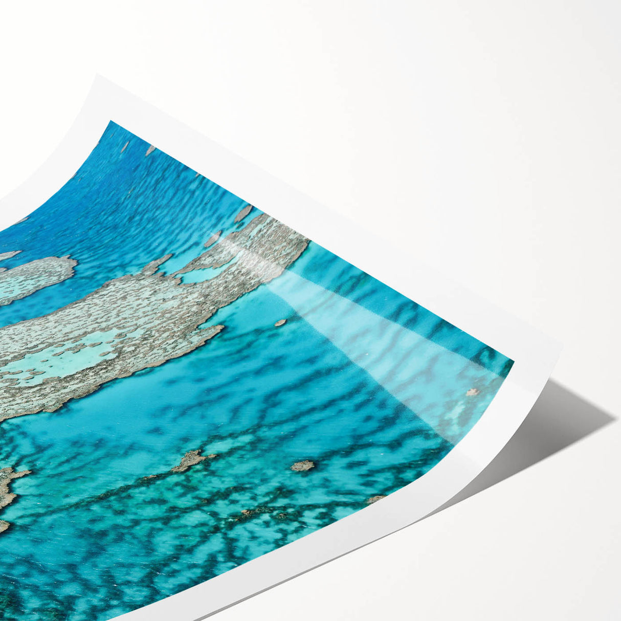Extra large wall art depicting the Great Barrier Reef in vibrant oceanic blues and greens on a rolled canvas.