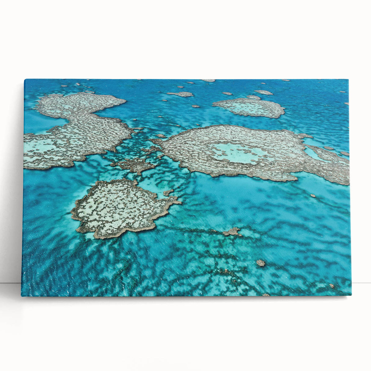 Black and white stretched canvas featuring the Great Barrier Reef, ideal for kitchen wall art.