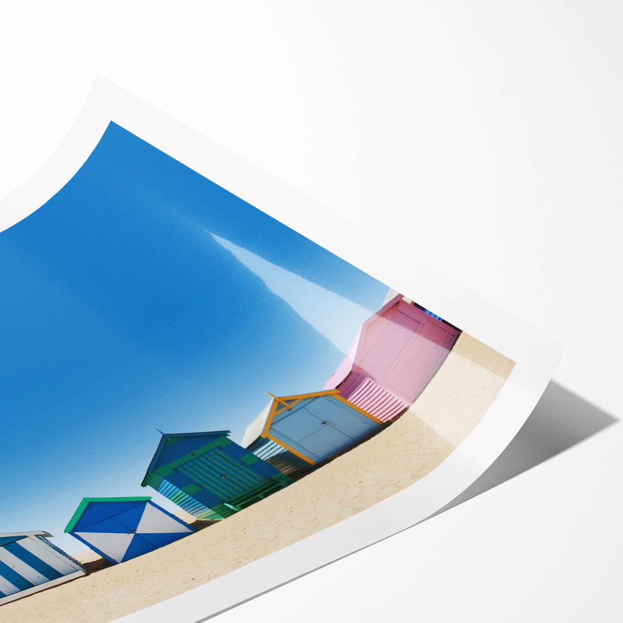 Extra large wall art featuring line art flowers in muted tones on rolled print, suitable for large living room decor.