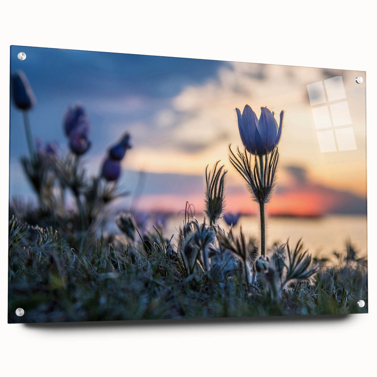 Acrylic print of a large abstract depiction of Manitoba scenery in muted earth tones.