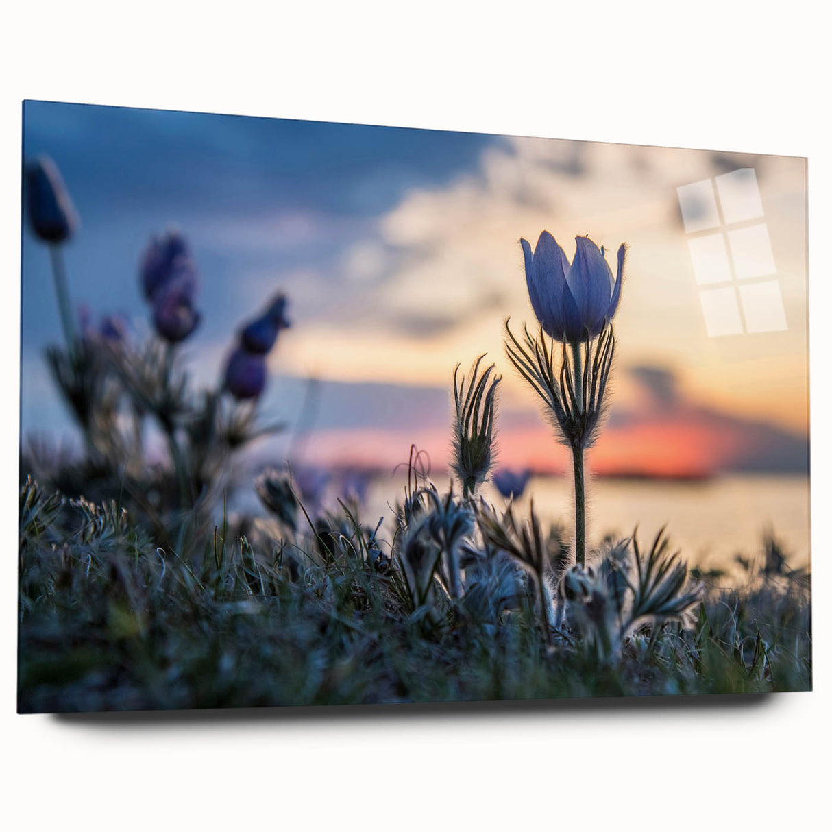 Large abstract wall art featuring a serene Manitoba landscape in muted earth tones on acrylic glass.