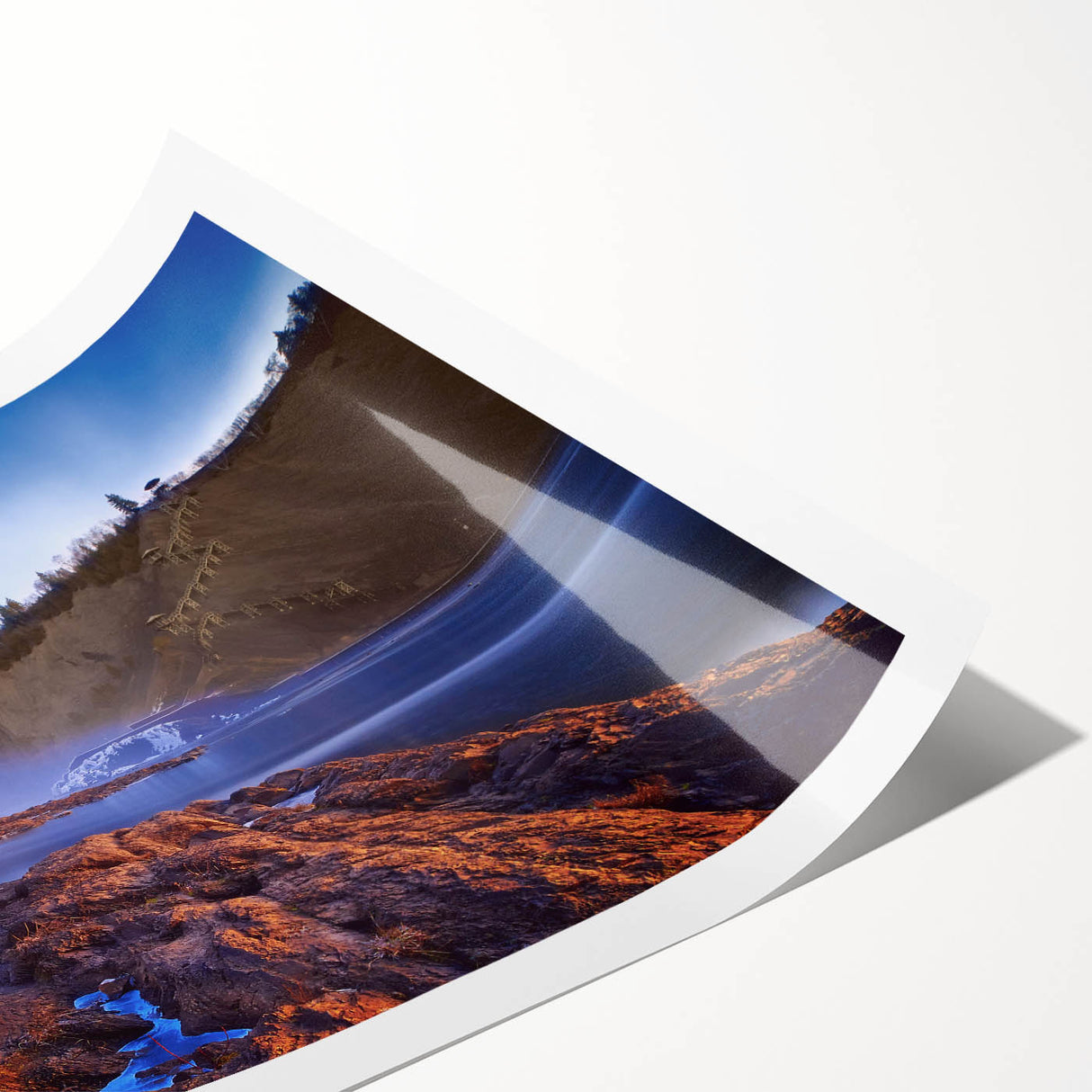 Extra large rolled print of line art flowers in black on white, ideal for large living room wall art.