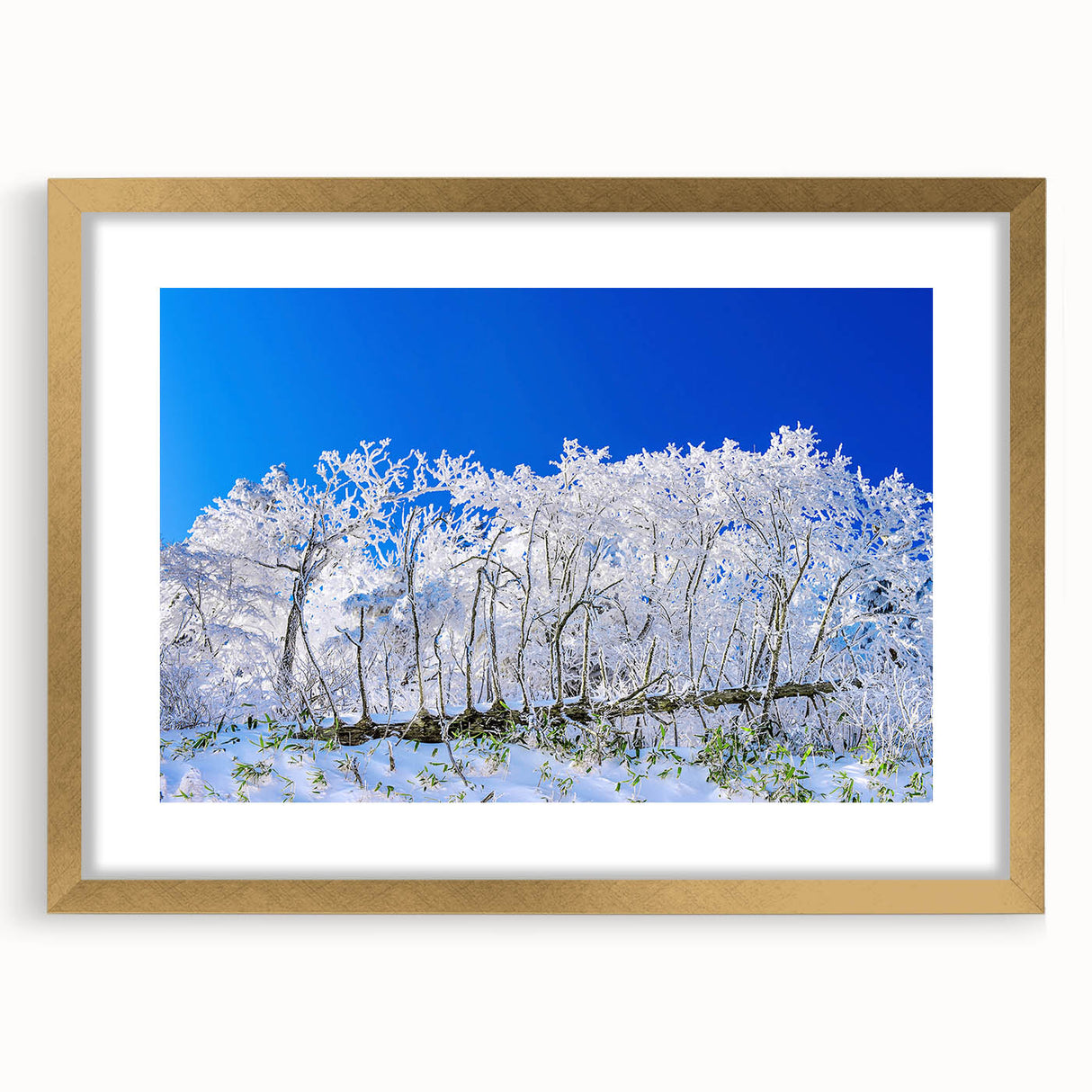 Extra large abstract art print depicting vibrant textured scenery in gold frame, ideal for living room decor.