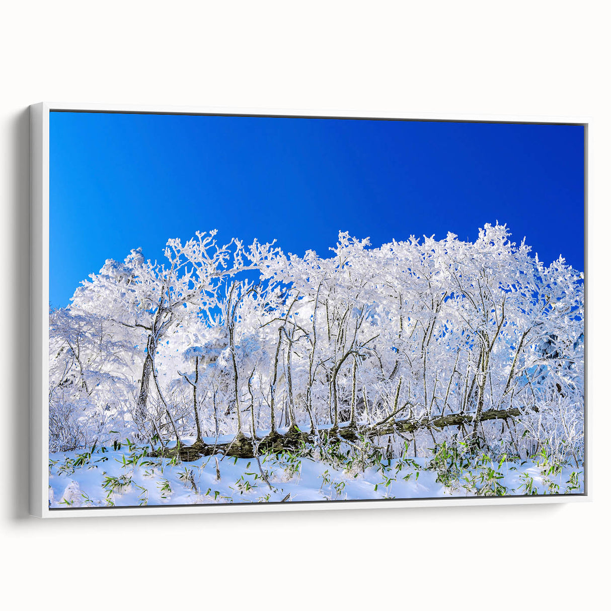 Vintage poster art of a scenic Korean landscape on framed canvas, featuring vibrant colors, ideal for living room decor.