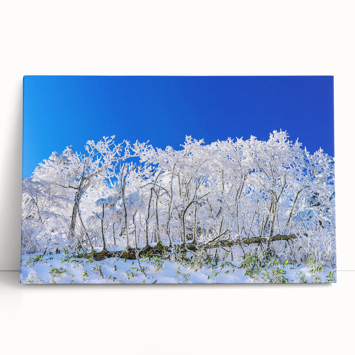 Black and white stretched canvas depicting a tranquil Korean landscape, ideal for kitchen wall art or bedroom ambiance.