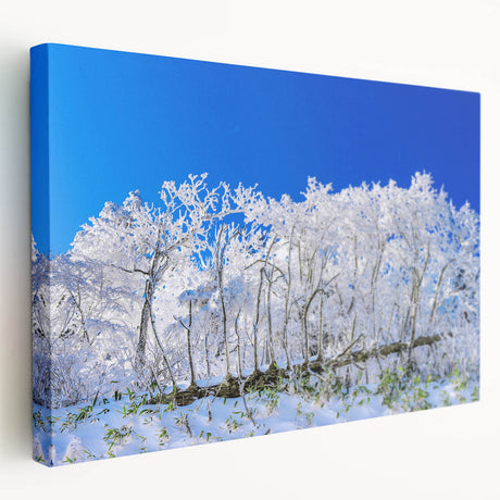 Large canvas print featuring a serene Korean landscape in soft green and blue tones, ideal for kitchen wall art.