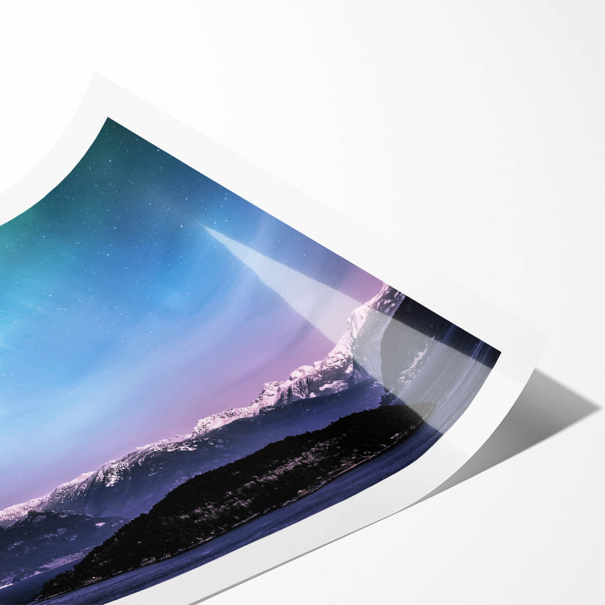 Extra large wall art featuring line art flowers on a rolled print, ideal for large living room decor.