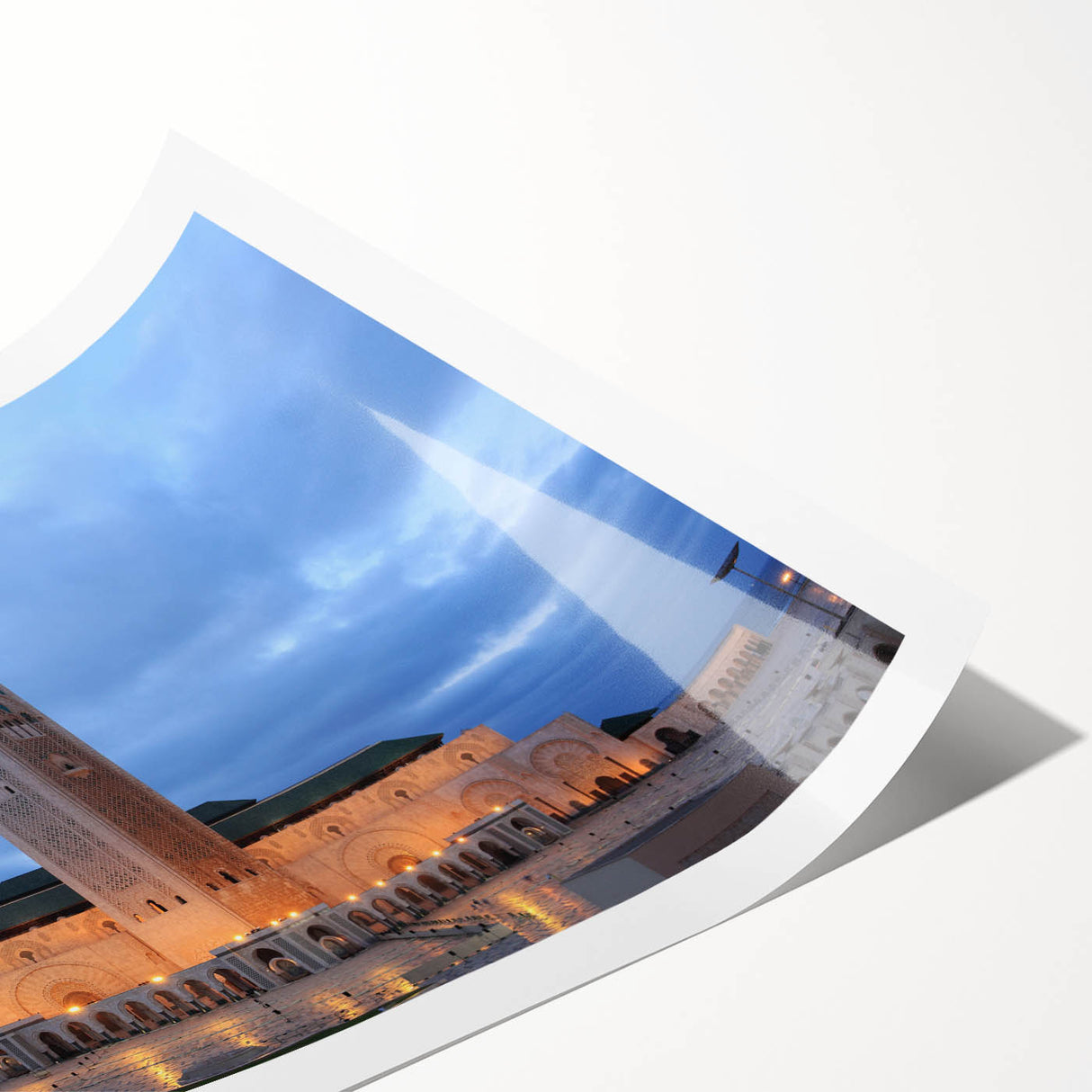 Extra large wall art featuring line art flowers in muted tones on a rolled canvas, suited for large living room decor.