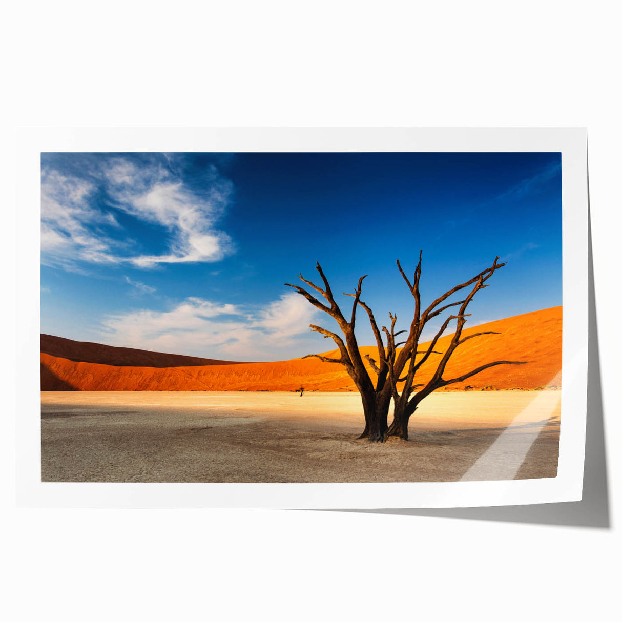 Extra large rolled print depicting a serene Namibian landscape with soft pastel colors, ideal for art wall dining room.