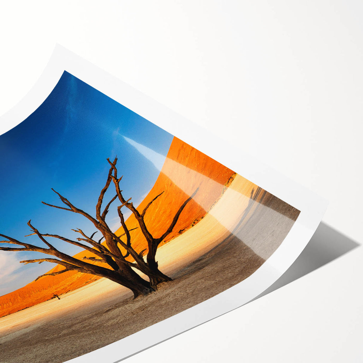 Extra large wall art featuring line art flowers in soft pastel shades on a rolled print.