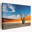 Large canvas print of a Namibian landscape with warm orange and earth tones, ideal for kitchen wall art.
