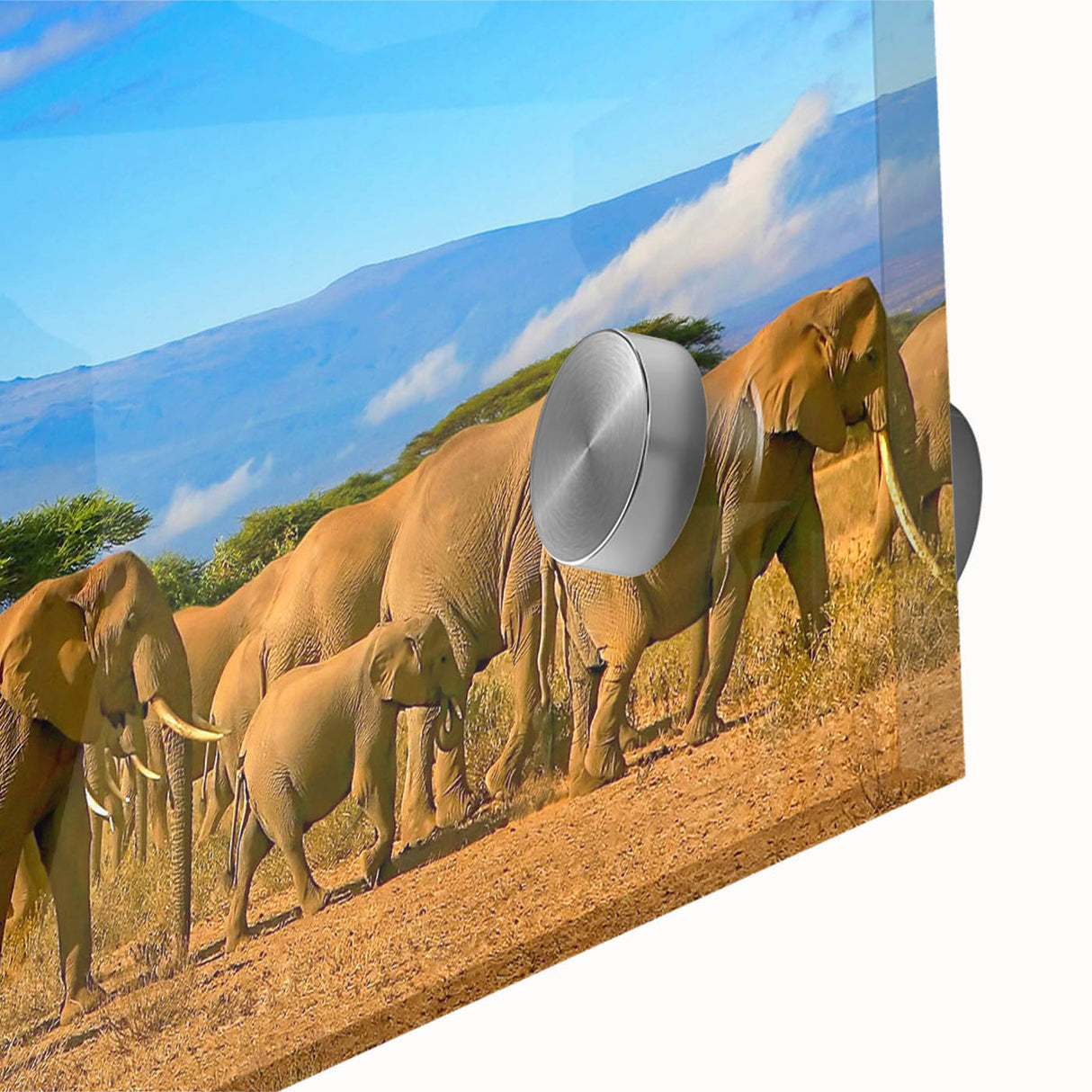 Large abstract wall art depicting Tanzania scenery in muted earth tones on acrylic glass, suitable for dining room decor.