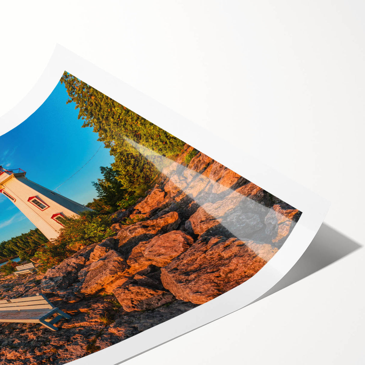 Extra large wall art featuring line art flowers in black on white, rolled print, ideal for large living room decor.