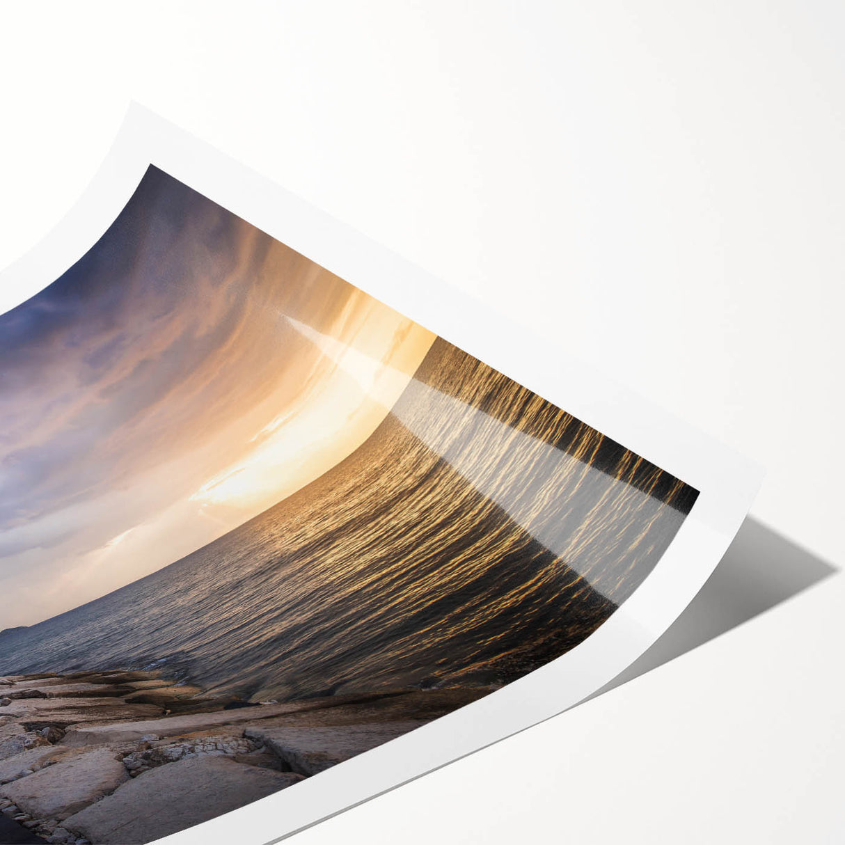 Extra large wall art featuring line art flowers in vibrant colors on a rolled print, ideal for large living room decor.