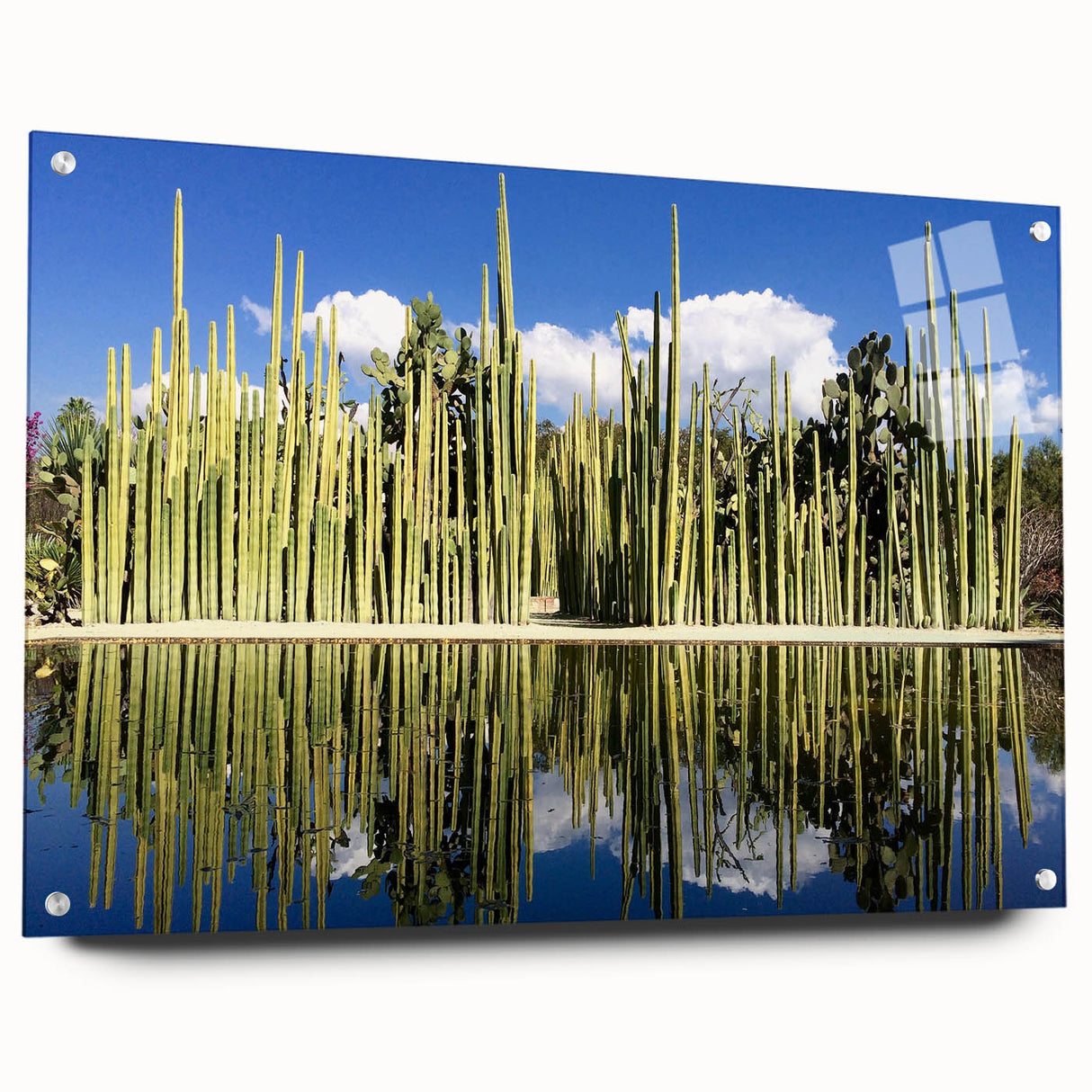 Large abstract wall art depicting a Mexico Oaxaca scenery in vibrant colors on acrylic glass.