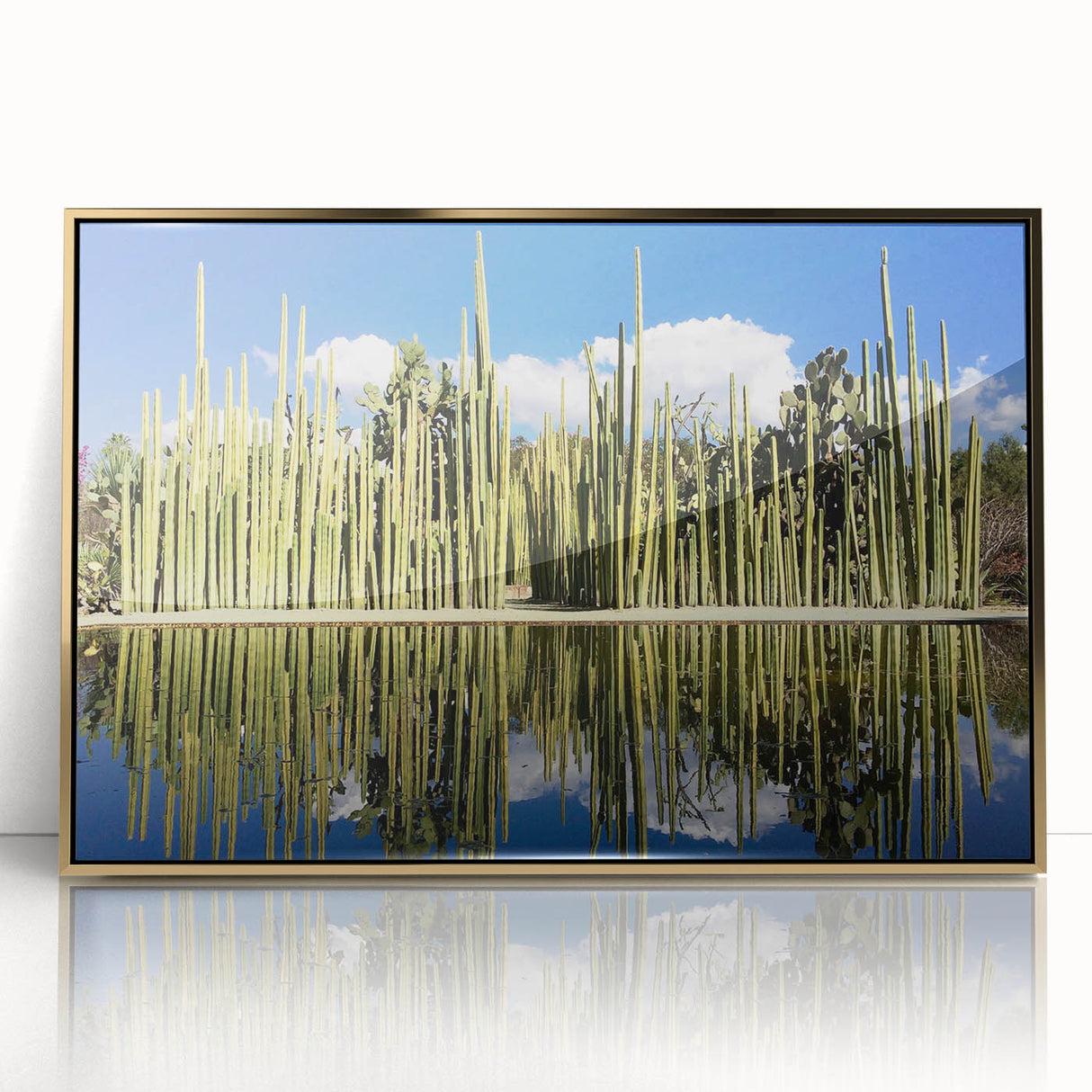 Large art print of Oaxaca, Mexico scenery in mid-century modernist style, framed in gold acrylic.