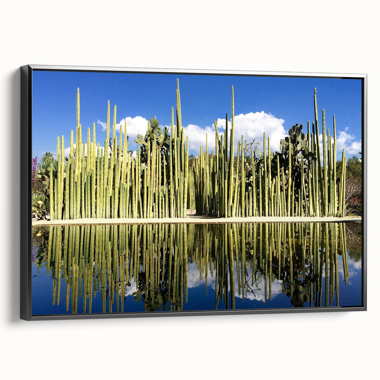 Black and white vintage landscape painting of Oaxaca on framed canvas, suitable for bedroom decor.