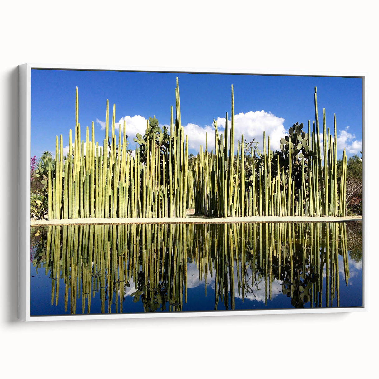 Vintage poster art of Oaxaca scenery on extra large framed canvas, featuring vivid colors against a black background.