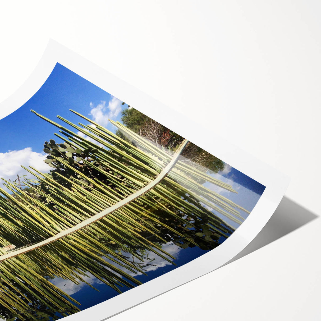 Extra large wall art featuring line art flowers in muted earth tones on a rolled canvas, ideal for large living room decor.