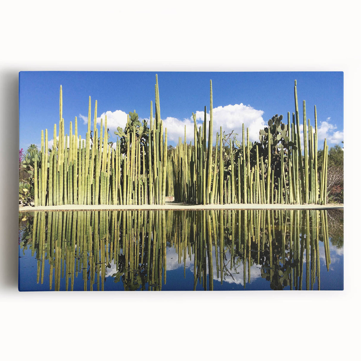 Black and white large art print of Oaxaca scenery on stretched canvas, ideal for kitchen wall art.