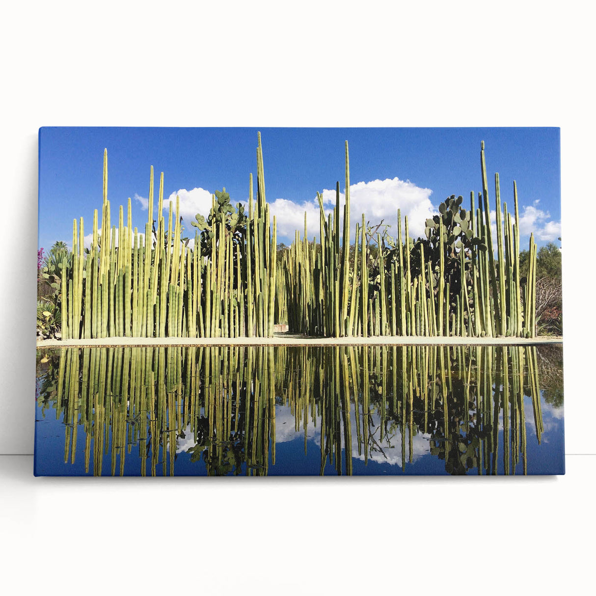 Black and white photo of Oaxaca scenery on stretched canvas, ideal for kitchen wall art or bedroom decor.